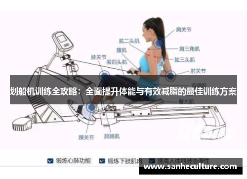 划船机训练全攻略：全面提升体能与有效减脂的最佳训练方案