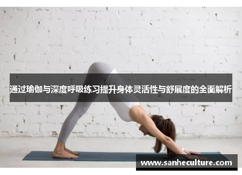 通过瑜伽与深度呼吸练习提升身体灵活性与舒展度的全面解析