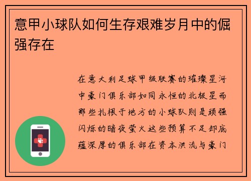 意甲小球队如何生存艰难岁月中的倔强存在