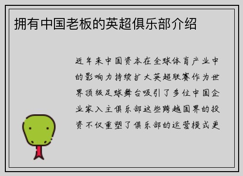拥有中国老板的英超俱乐部介绍